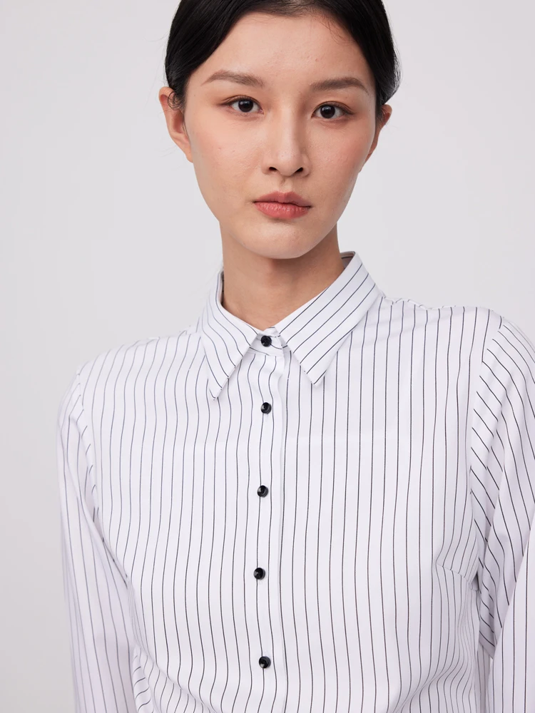 Non-iron Long Sleeve Striped Shirt